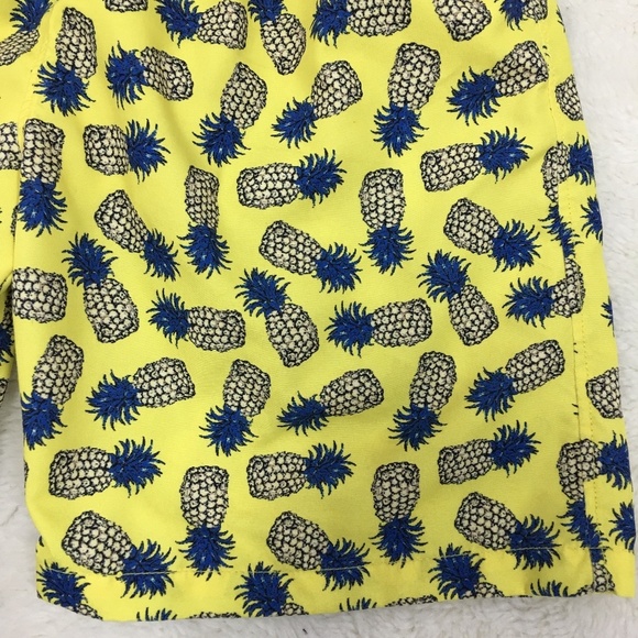 Pili Carrera Boys Pineapple Swim Trunk Shorts 10Y - Picture 2 of 8